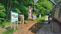 <p>
	Puščavnik ali eremit je vrsta hrošča, ki živi v duplih starih dreves. Meri od 20 do 35 mm in živi le nekaj tednov. Ličinka se približno tri leta prehranjuje s trohnečim lesom (lesnim muljem).<br>
	Foto: Saša Vochl
</p>